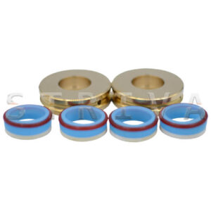 Seal Repair Kit with Bronze Backups