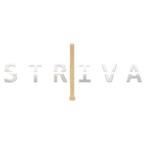 Firing Pin (Mechanical Shift)