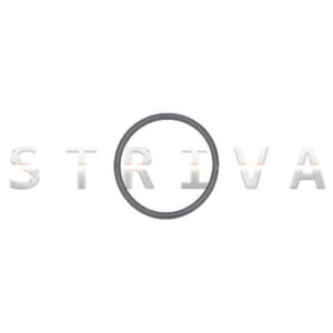 Check Valve O-ring (-125)