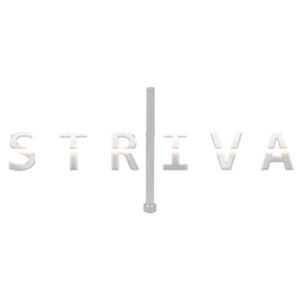 Firing Pin (Electrical Shift)