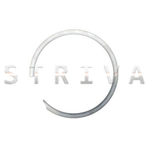 Retaining Ring (SL-V 75/100S)